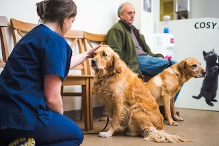 Orchard Veterinary Surgery