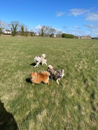 Scarisbrick Dog Walking Field