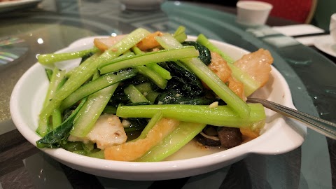 Mayflower Chinese Restaurant (五月花菜館)