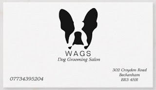 WAGS Dog Grooming