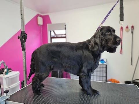 Teddy's Cuts Dog Grooming Cabin