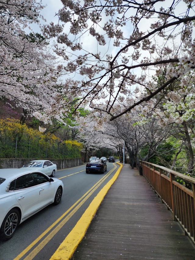 Dalmaji-gil Road