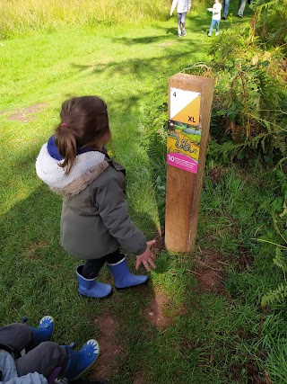 Cannock chase park water work