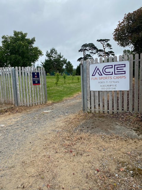 ACE Camps