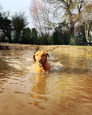 Mutleys Dog Park