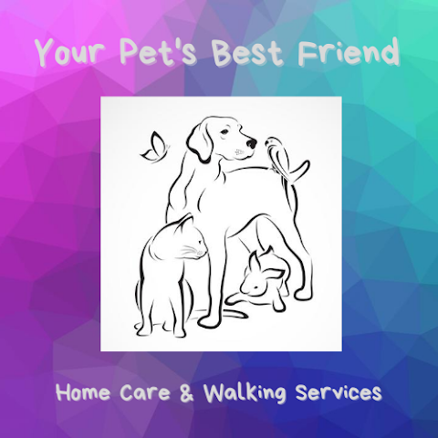 Your Pet's Best Friend