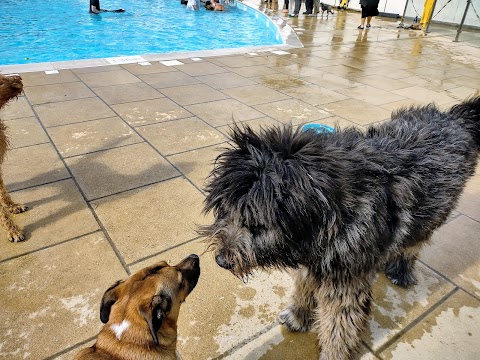 Saltdean Lido