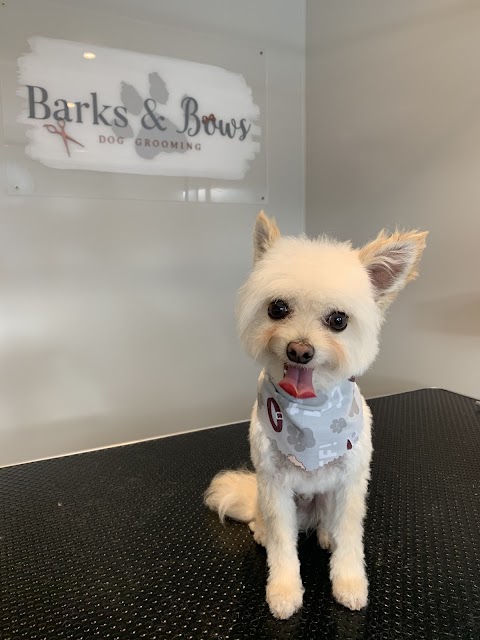 Barks & Bows Dog Grooming