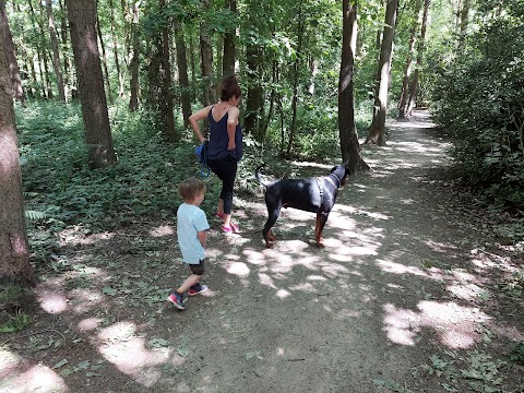 stnicolas-dogwalkers-nuneaton