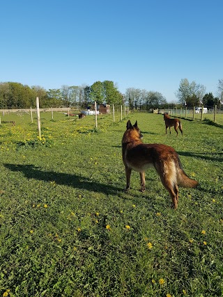 Bluerose Dog Park