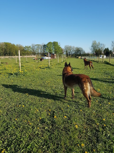 Bluerose Dog Park