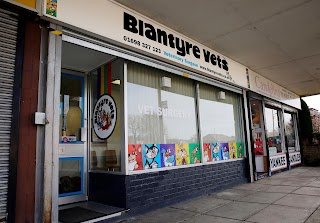 Pets'n'Vets in Blantyre