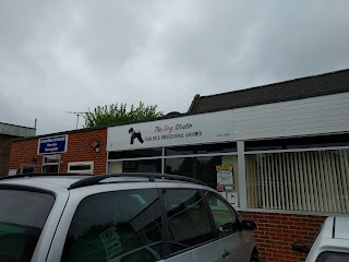 The Dog Studio IOW - Closed to new clients