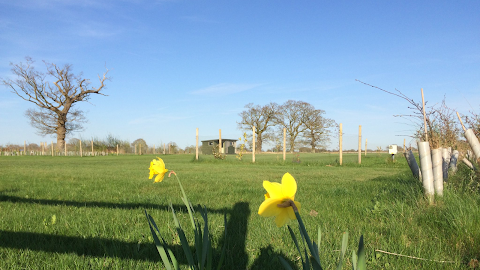 Eves Hill Farm Shop, Campsite & Glamping