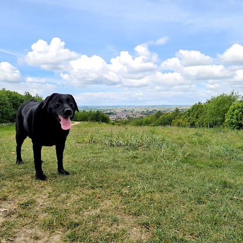 Phoenix Park