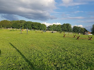 Bluerose Dog Park