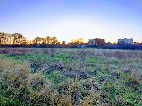 Mapledene Primary School