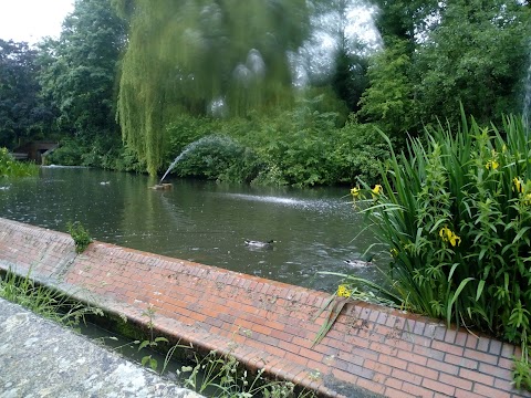 Trowbridge Park Pond