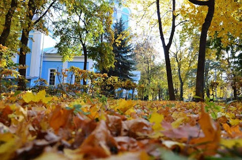 Хотинський центральний парк