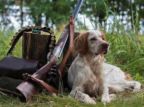 Belper Tackle & Gun