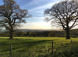 Fox View Guesthouse