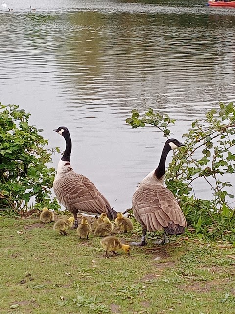 Highfields Park