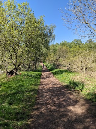 RSPB Budby South Forest