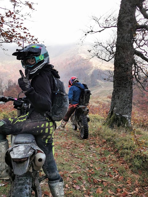 Enduro Dreamland