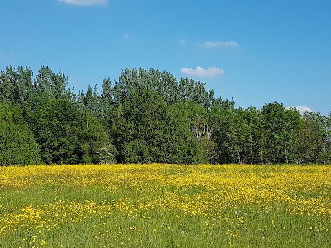 Fitzwilliam Country Park