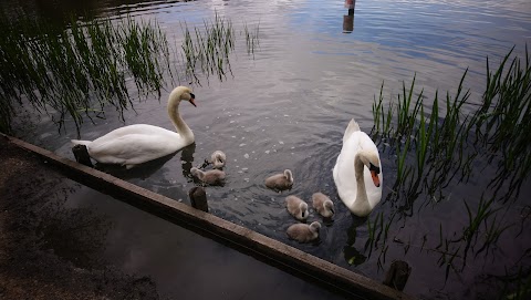 Shipley Country Park