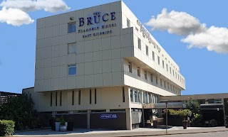 The Bruce Hotel