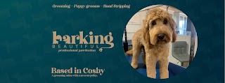 Barking Beautiful dog groomer