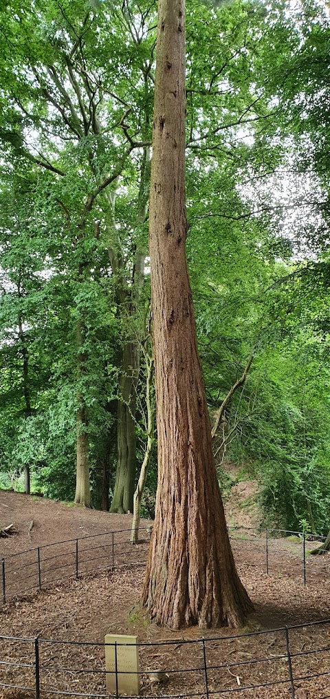 Quarry Bank