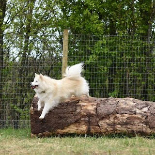 Bowcliffe Dog Enrichment Park