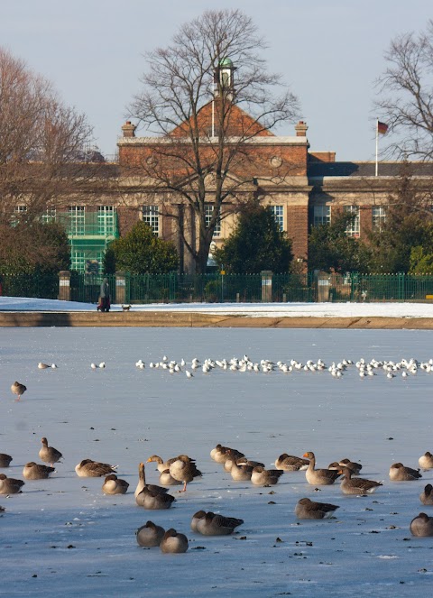 Malet Lambert School