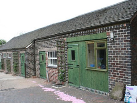 Little Hay Cattery