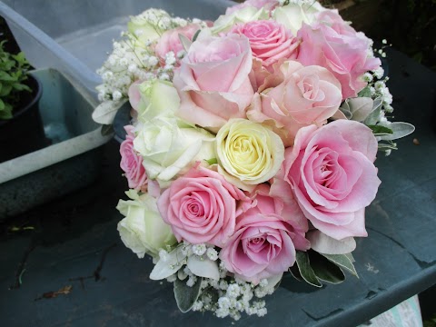 cottage flowers