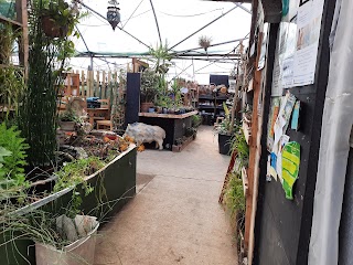 Yourspace.sutton community garden cafe