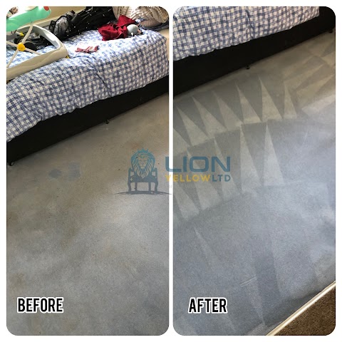 Lion Yellow Cleaning Services Ltd