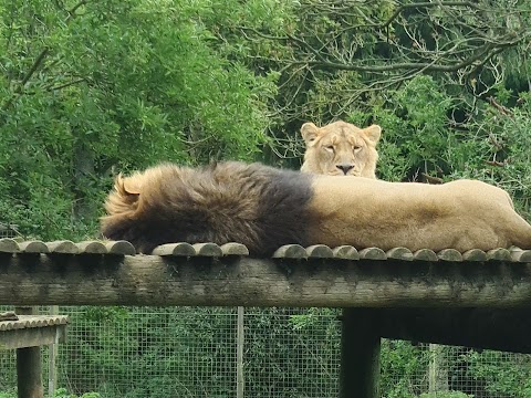 Cotswold Wildlife Park & Gardens