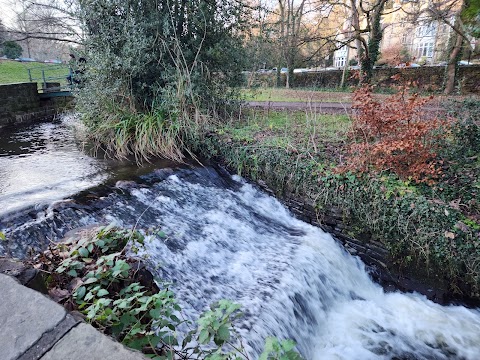 Forge Dam Park