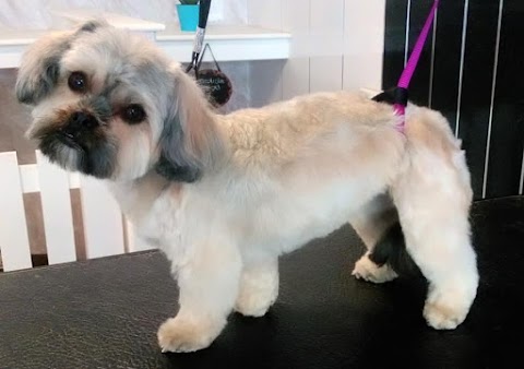 Rubies Dog Grooming Lounge