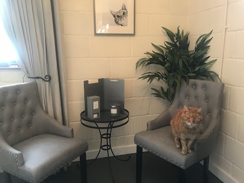 Aristocats Luxury Cattery NORFOLK