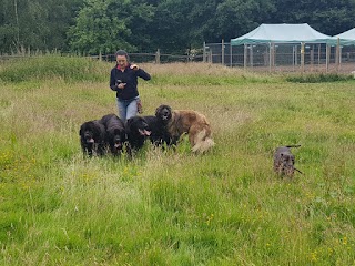 Cherry Tree Kennels & Cattery