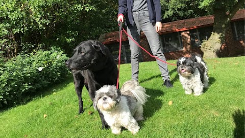 The Red House Luxury Boarding Cattery and Kennels