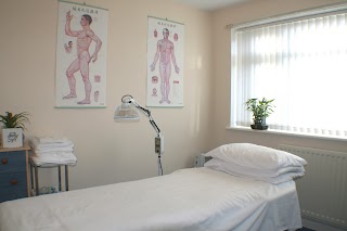 Acupuncture Therapy Chinese Acupuncturist