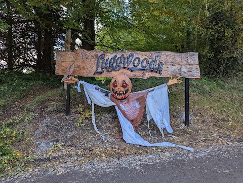 Luggwoods