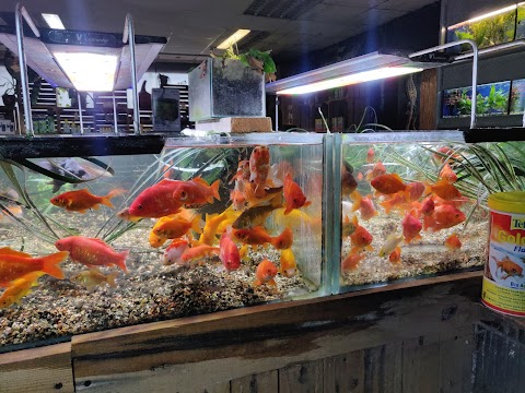 The World of Fish & Pets