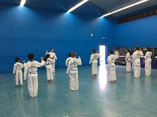 Hogan's Institute of Tae Kwon Do New Malden