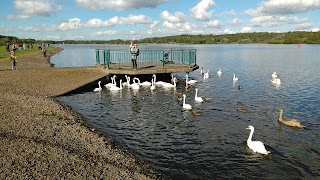 Sandy Beach - Strathclyde Park